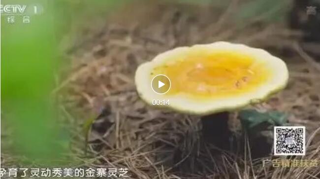 QQ截圖20220307110411.jpg